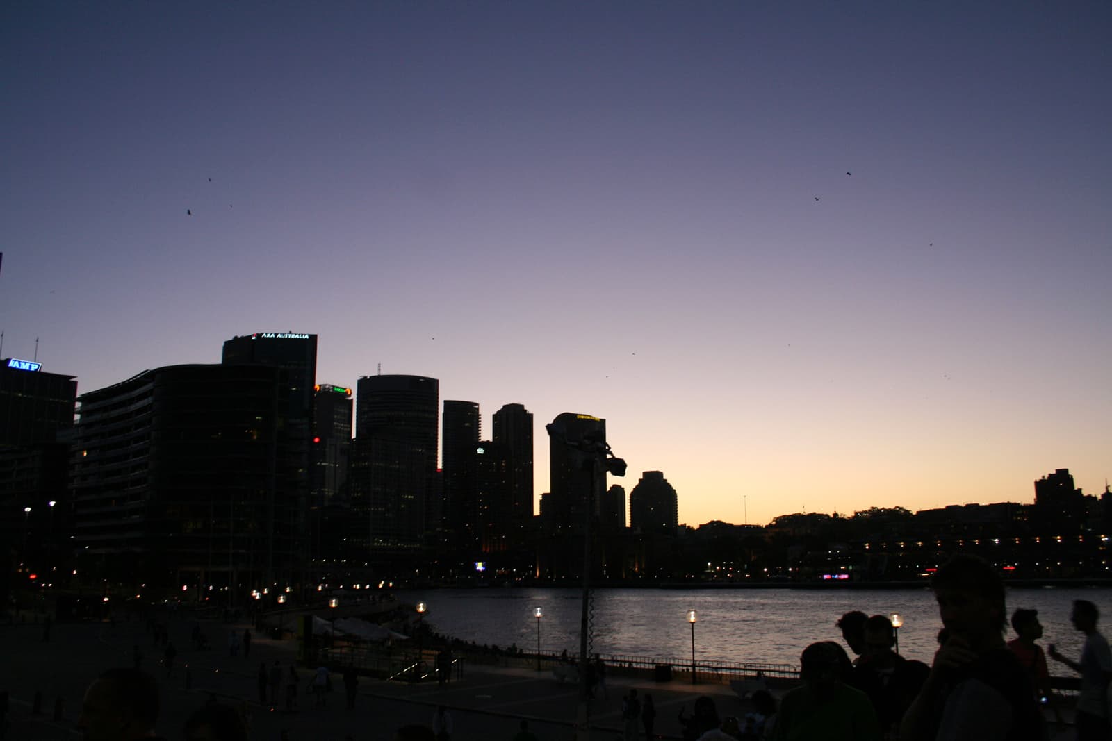 Sydney CBD skyline at dusk across the water